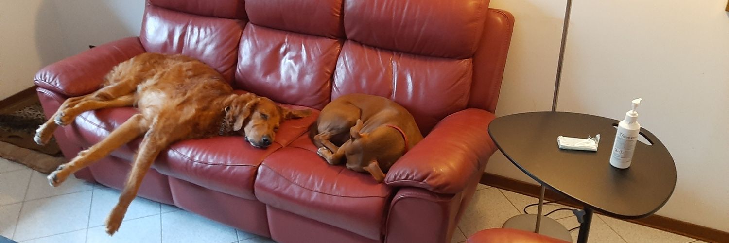 lapulcemaledetta #onda civica#NEWEUROPE ❤🖤 banner