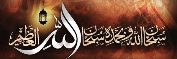 warrior4right Profile Banner