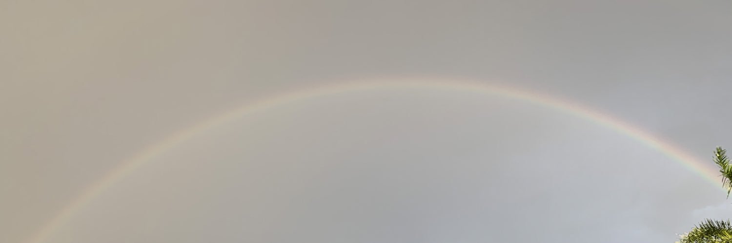 danirussoo's profile banner image