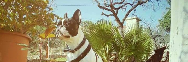 MRmuntaner's profile banner image