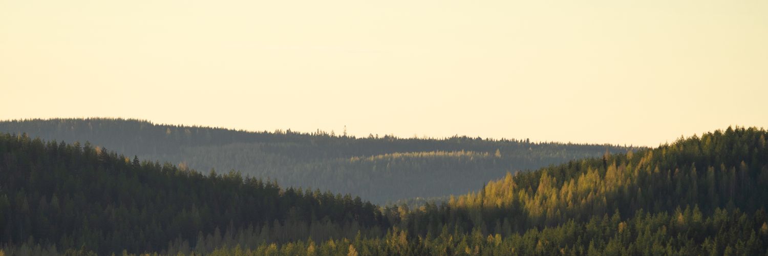 Rami_Zian's profile banner image