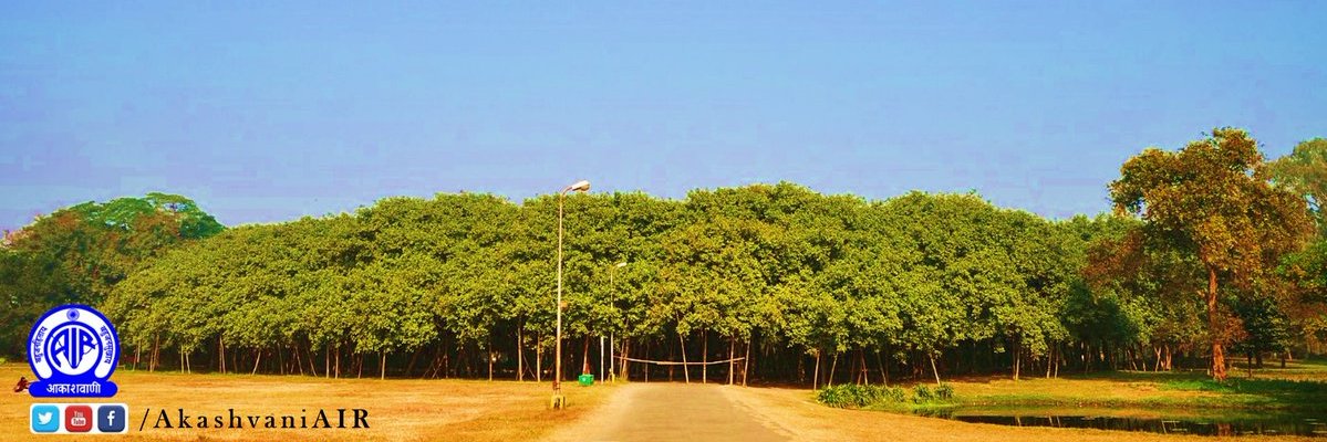 avshgupt07's profile banner image