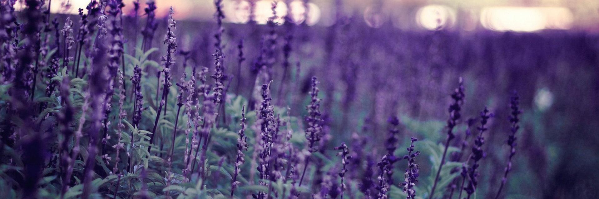 Imogen Greenwood banner