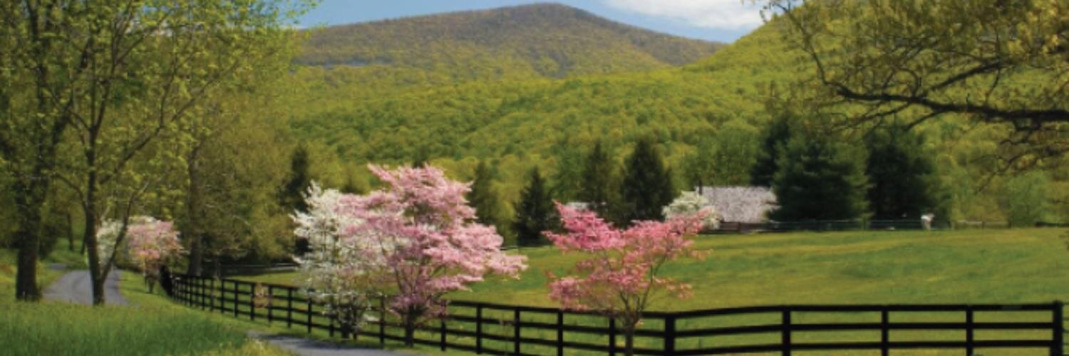 ShenCoEconDev's profile banner image