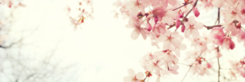 PayneDominika's profile banner image