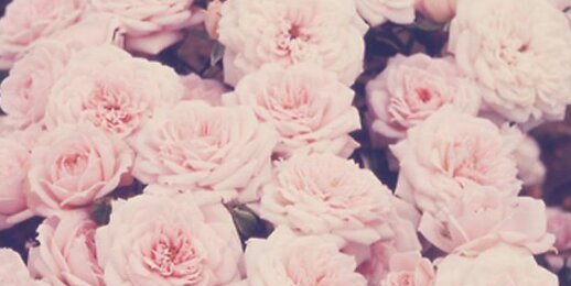 romije_'s profile banner image