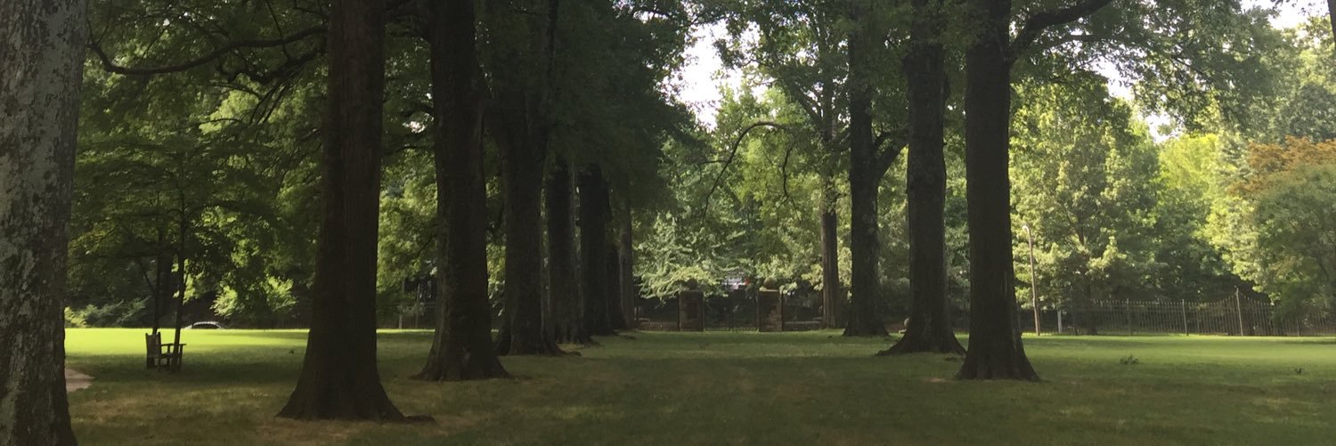 ParadiseeSimmer's profile banner image