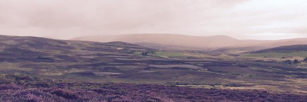 lukaswallrich Profile Banner