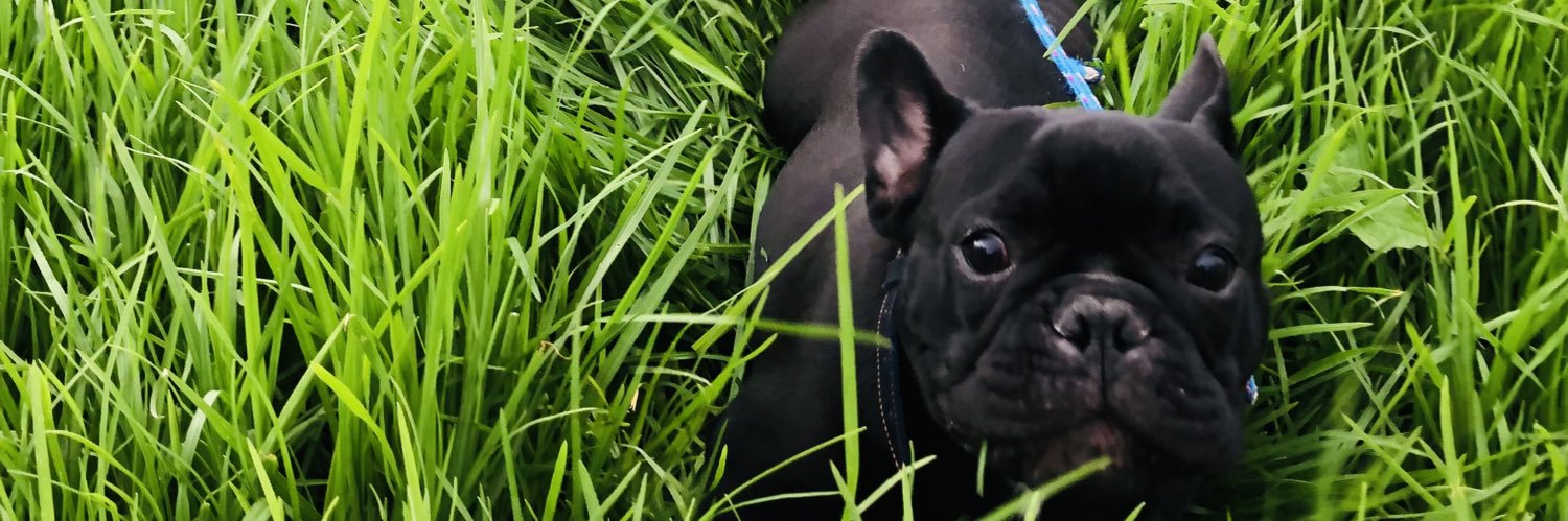 fponcede's profile banner image