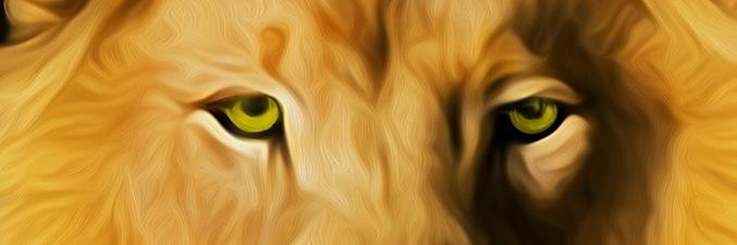 CO2Organics's profile banner image