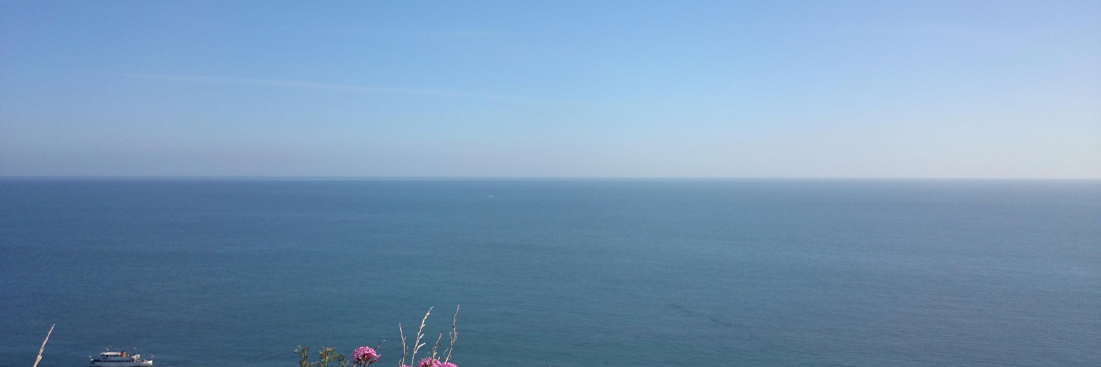 AngelaChai0625's profile banner image
