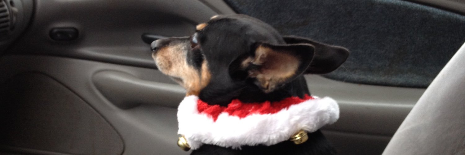 kaysey6594's profile banner image