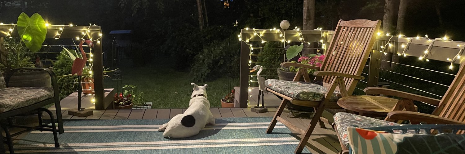 woolyams's profile banner image