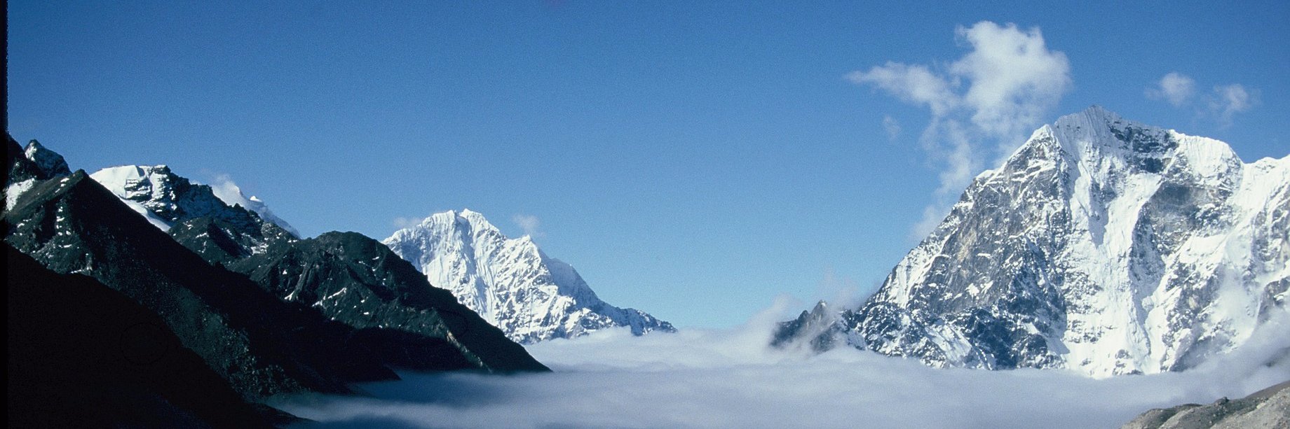 Qu'est-ce que tu what? banner