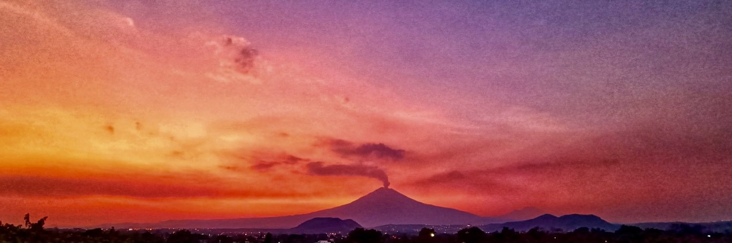 Ana Paola Migoya banner