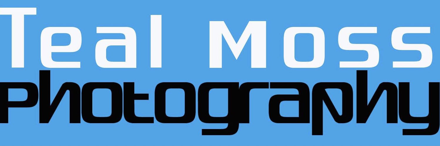 tealmoss's profile banner image