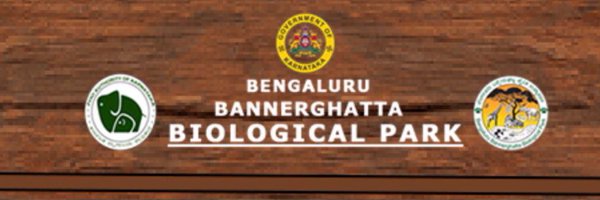 AnuPrabhakar9 Profile Banner