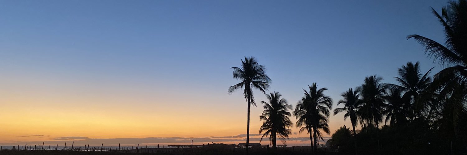 susanagrande82's profile banner image