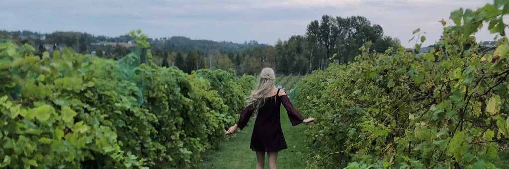 MollyG113's profile banner image