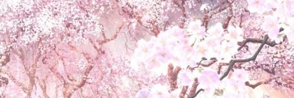 TE_lori's profile banner image