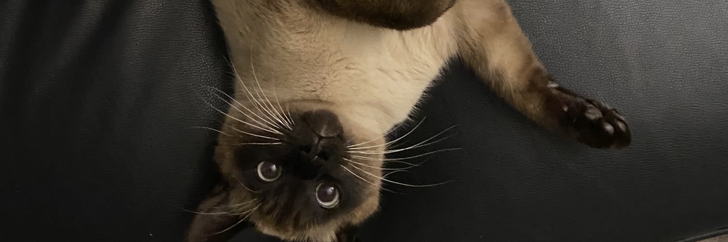 SihamObd17_'s profile banner image
