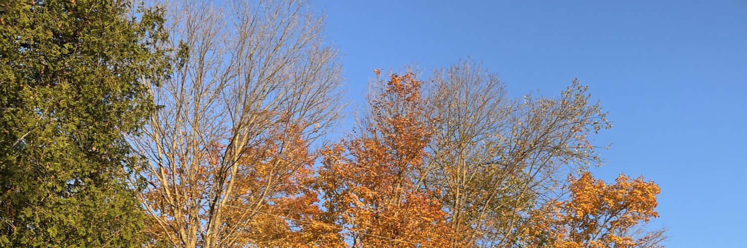 Jason_Gingrich's profile banner image