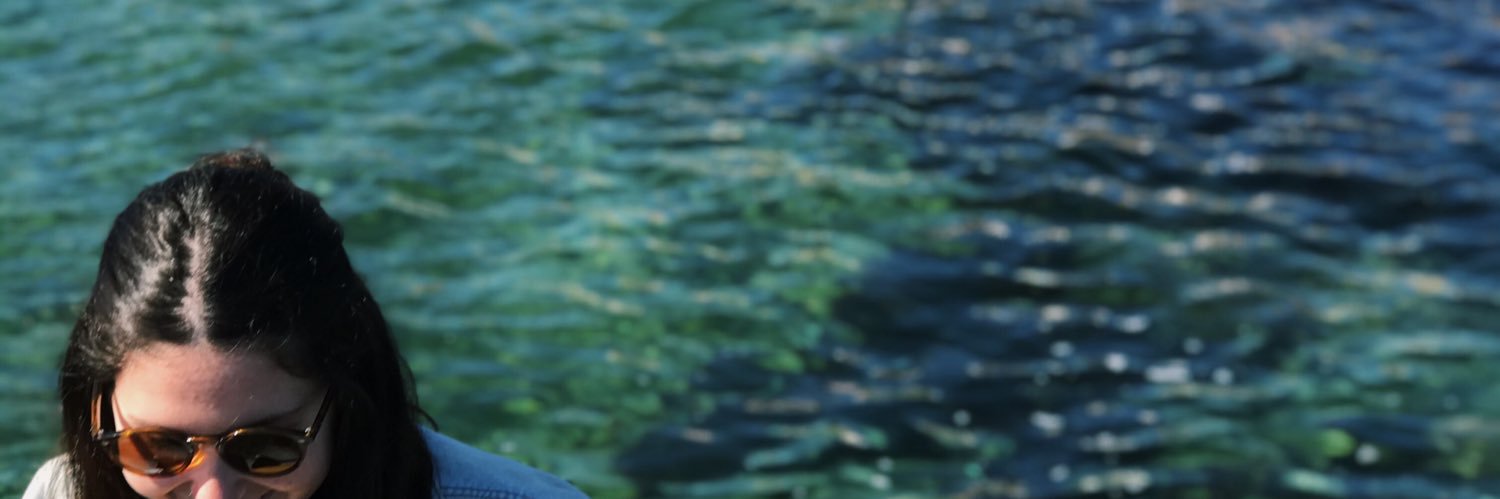 Lu__lemos's profile banner image