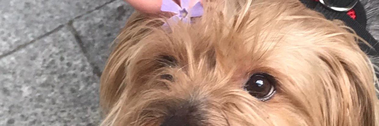 itssellaaa's profile banner image