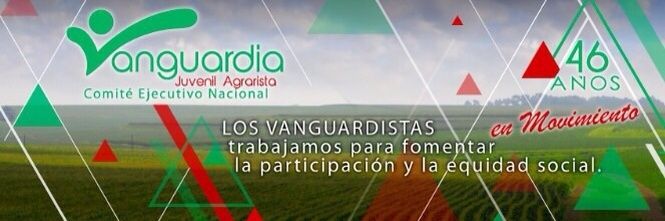 VjaOcosingo's profile banner image
