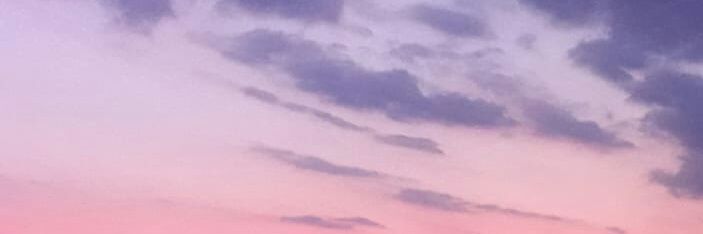 Diego banner