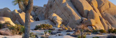 brian bartley banner