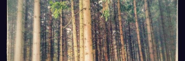 Supalynz Profile Banner