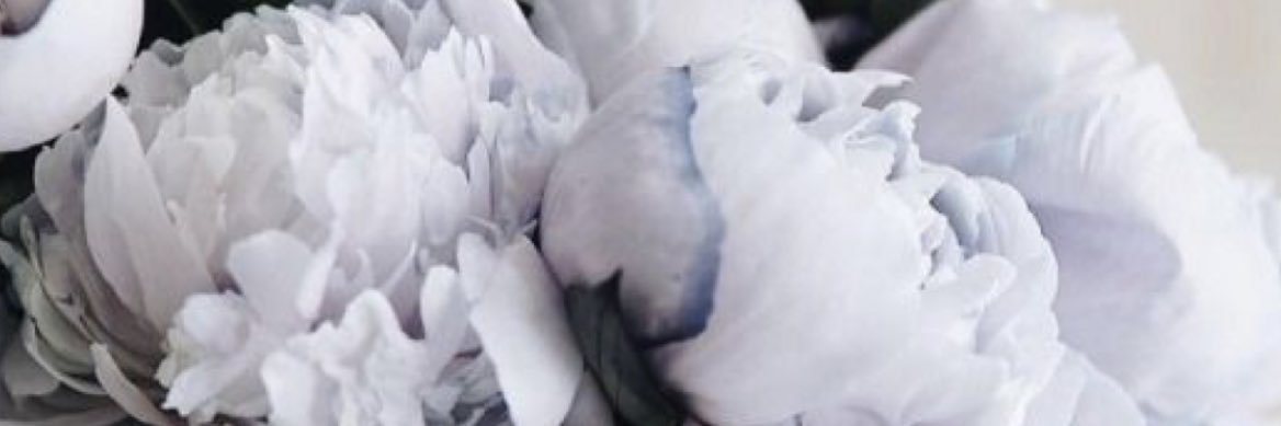 lydie_mcht's profile banner image