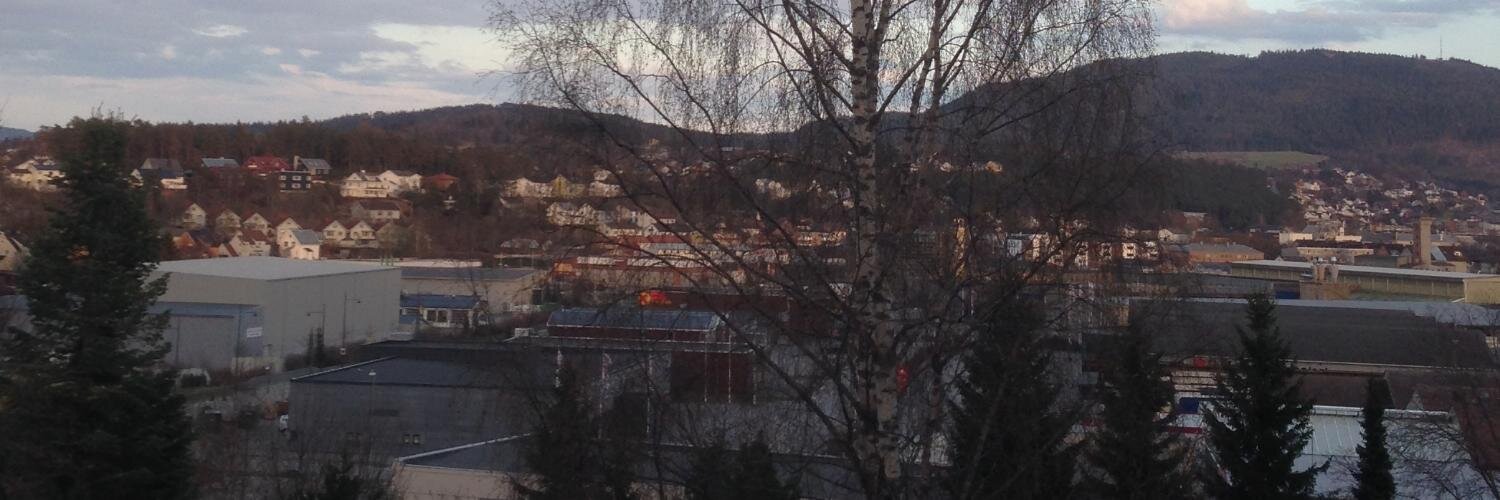 tormorten's profile banner image