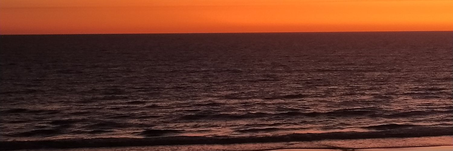 camiguizzo's profile banner image