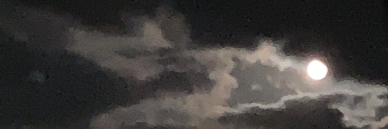 DreadPirateAngi's profile banner image