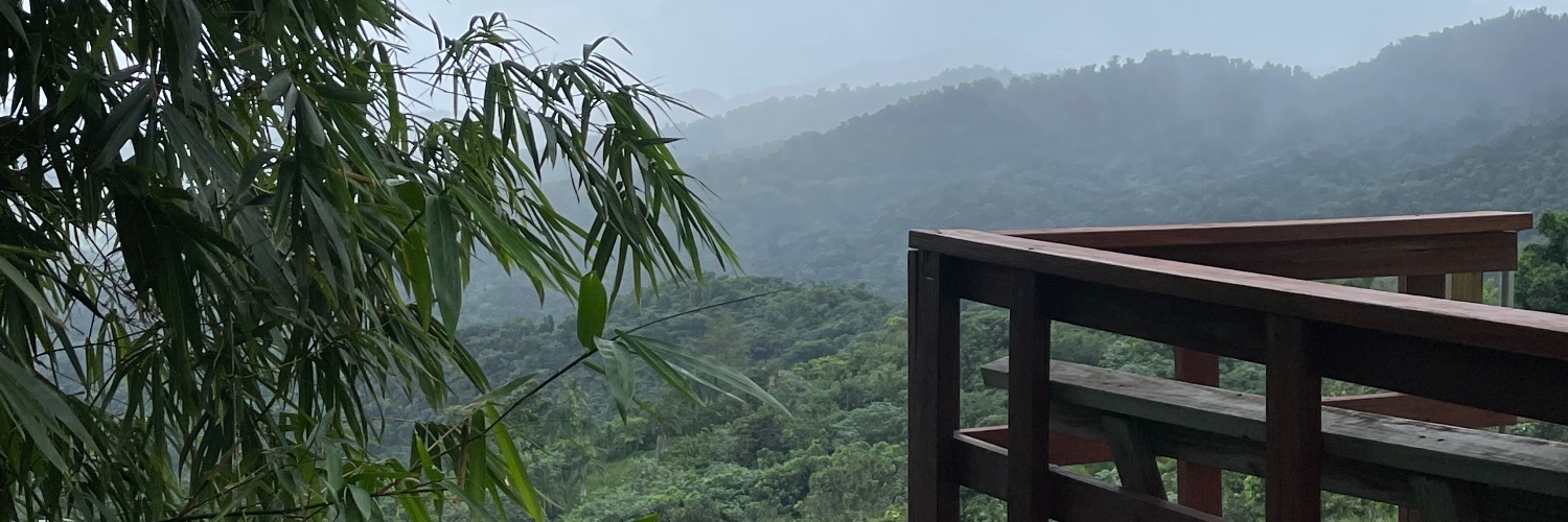 rochirossi's profile banner image