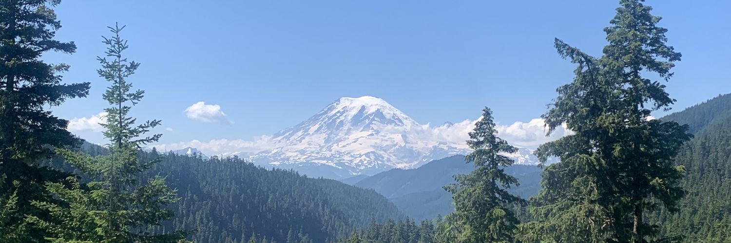 Kal, Trading Card Auctioneer banner