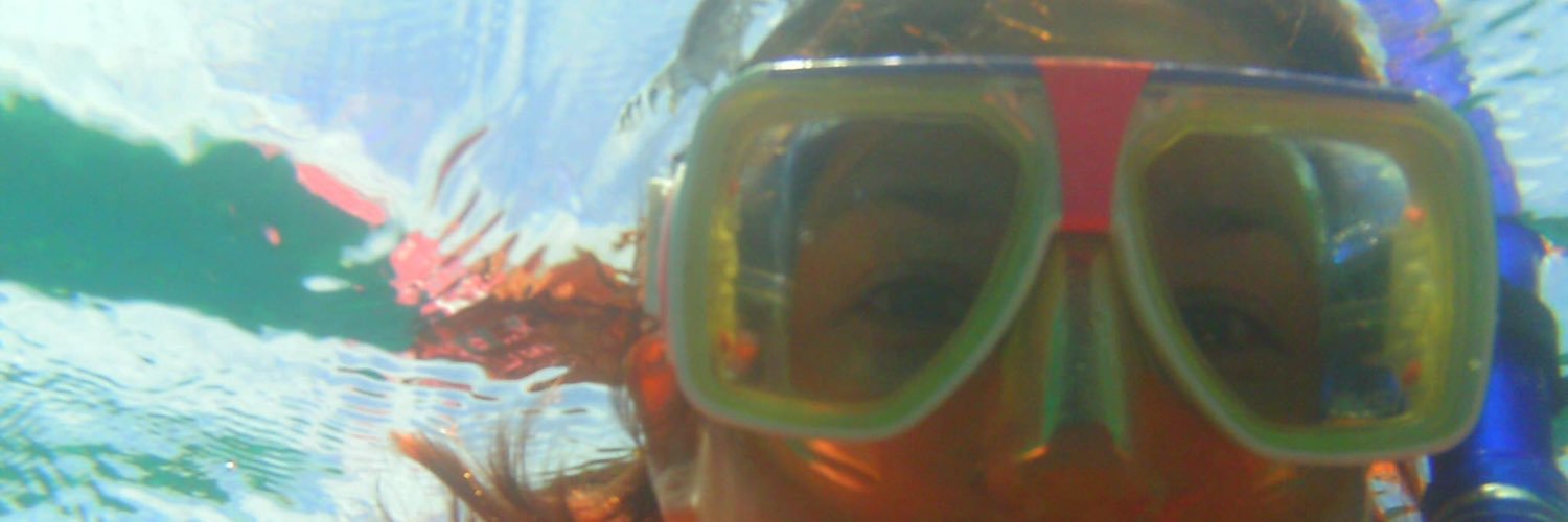 karelsscience's profile banner image