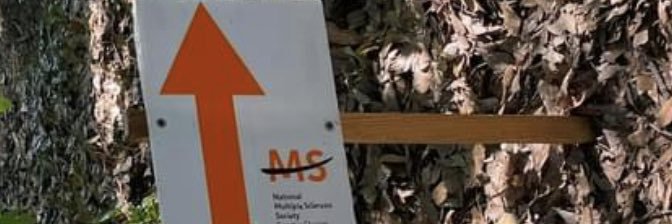 PotIsMedicine's profile banner image