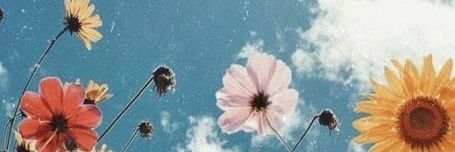 felizavalia's profile banner image