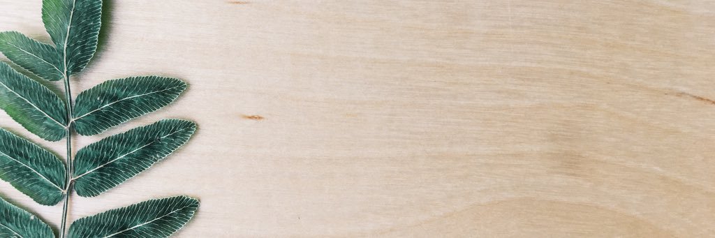 RoyalFernCo's profile banner image