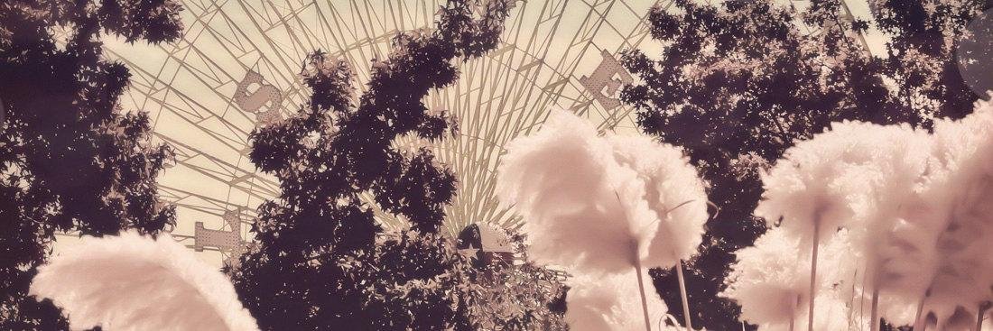 nicc is a candy corn enjoyer banner