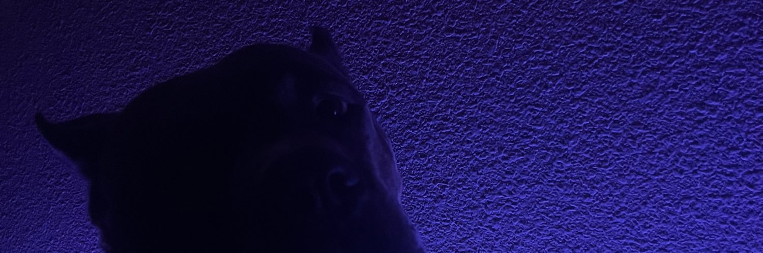 katlinhernandez's profile banner image