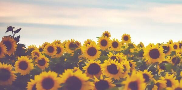 KnottyByNature_'s profile banner image