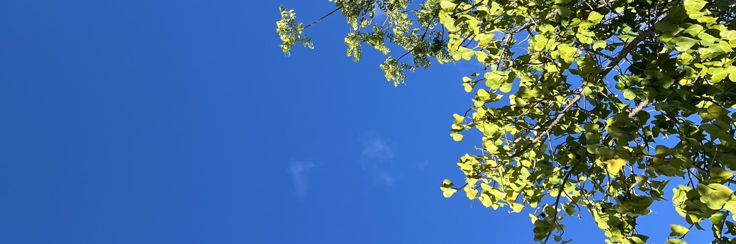 __recie's profile banner image