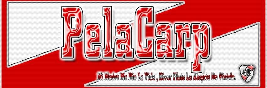 PCarp14's profile banner image