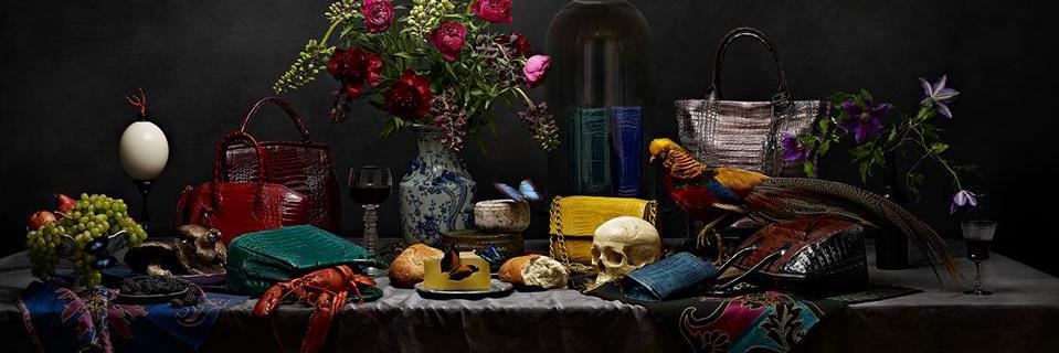 nancygonzalezny's profile banner image