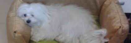 UYMYMDECO's profile banner image
