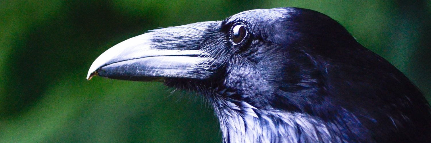 GrandmaTheGrey's profile banner image